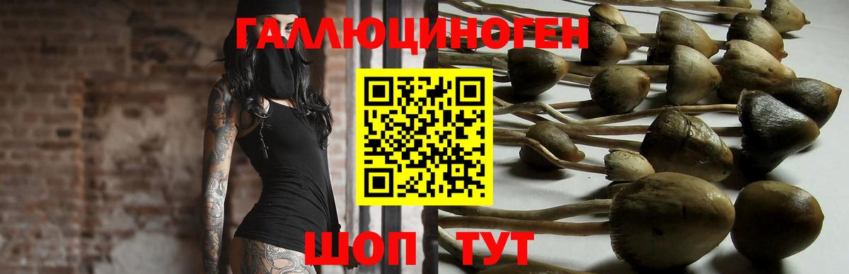 Псилоцибиновые грибы мицелий  Вход с VPN  Спасск-Дальний 